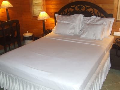 Primo Bom Terra Verde