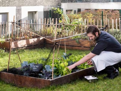 Pullman Paris Eyfel Kulesi