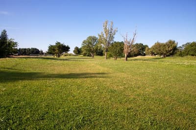 SOWELL Family Les Amandiers