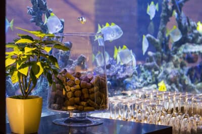 Hyatt Centric Levent Istanbul