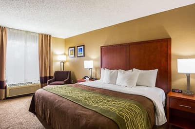 Comfort Inn University Area