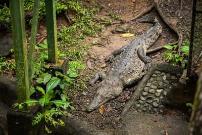 Si Como No Resort Spa & Wildlife Refuge