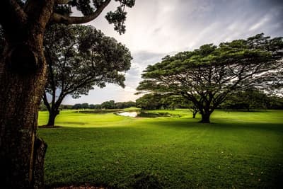 Selborne Golf Estate Hotel & Spa