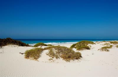 St. Regis Saadiyat Island Abu Dhabi