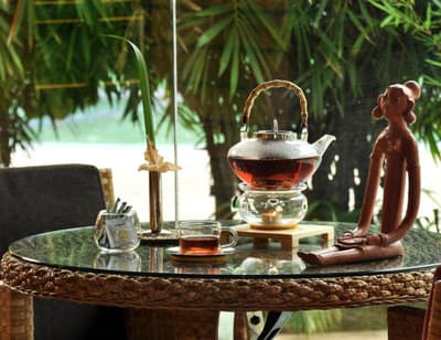 Vedic Village Spa Resort Kolkata