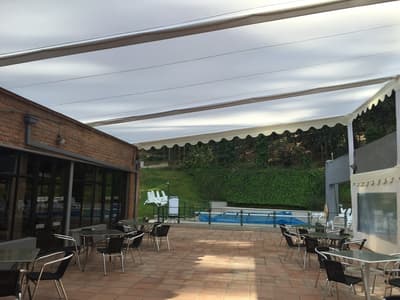 Bosque de Reñaca