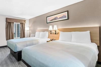 Quality Inn & Suites Albuquerque