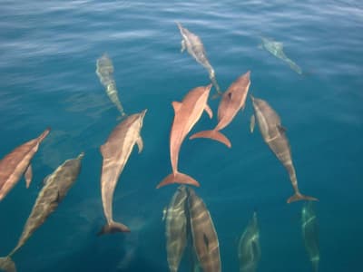 Park Hyatt Maldives Hadahaa