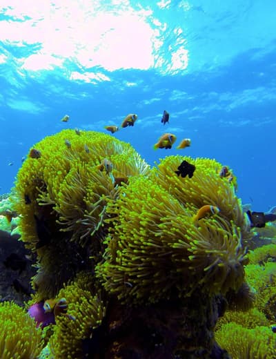 Park Hyatt Maldives Hadahaa