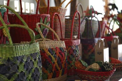 Casa Andina Standard Nasca