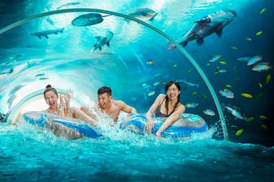 Resorts World Sentosa - Equarius Hotel