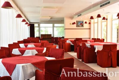 Ambassador