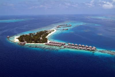 Coco Bodu Hithi