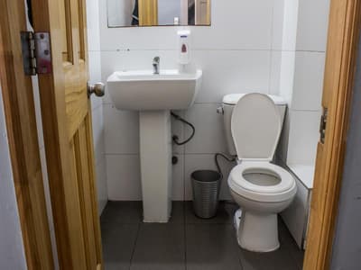 Hostal Forestal