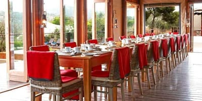 Thanda Private Game Reserve