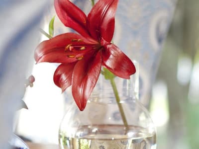 L'Avenir Country Lodge