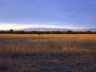 Ditholo Game Lodge