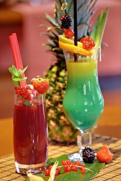 Best Western Hotel Peine-Salzgitter