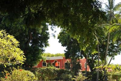 Diamonds Dream Of Africa