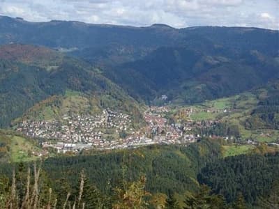 Gasthaus Finken