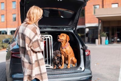 Radisson Blu Arlandia Hotel