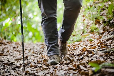 Savegre Hotel Narutal Reserve & Spa