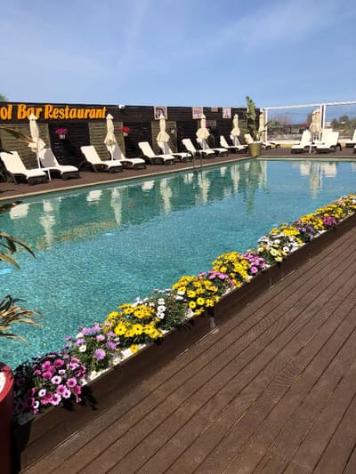 Paradice Hotel Luxury Suites