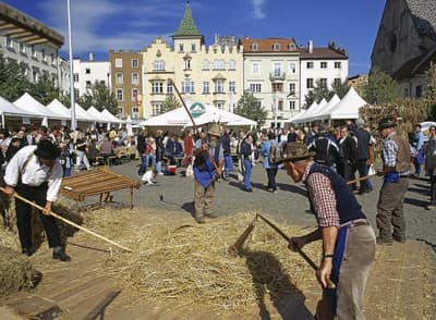 Hotel Grüner Baum / Residence Hotel Gasser