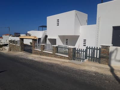 Amorani Studios