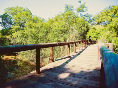 Mpongo Private Game Reserve