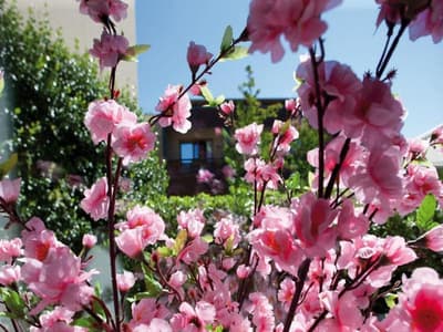 Relais Le Betulle