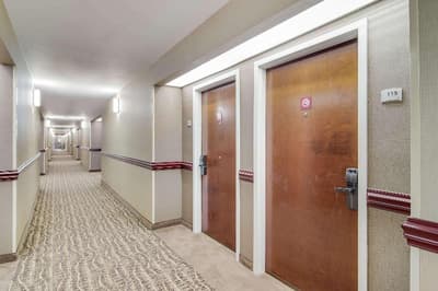 Quality Inn & Suites Canton Canton