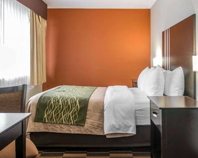Comfort Inn Maumee - Perrysburgh Area