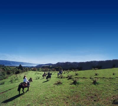 Termas de Puyehue Wellness and Spa Resort