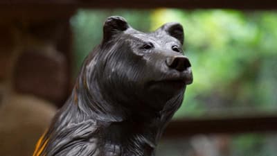 Disney Sequoia Lodge  + Bilet