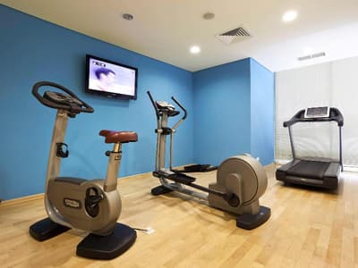 Ibis Sharq