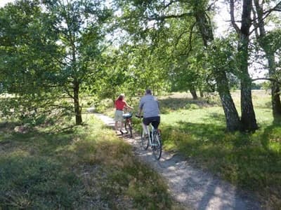 Akzent Hotel Zur Wasserburg