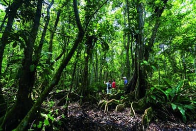Dorado Beach, A Ritz-Carlton Reserve