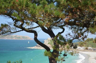 Hotel Les Costans
