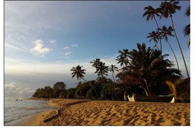 Earl’s Reef Beruwala