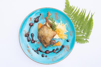 Hotel Solar Palace SPA & Wellness