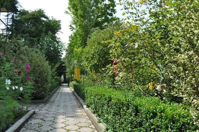 Casanova Inn - Boutique Hotel