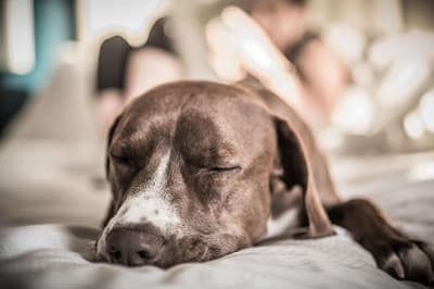 JW Marriott Denver Cherry Creek