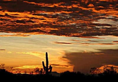 TownePlace Suites Phoenix Goodyear