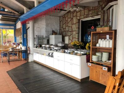 Cingjing Brilliant Twins of Seattle