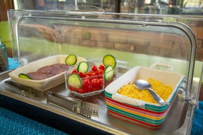 Airport & Bird Game Lodge