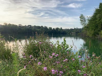 Les Hameaux Des Lacs - Terres de France