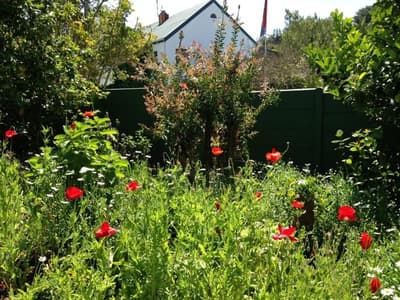 Edenwood Guest House