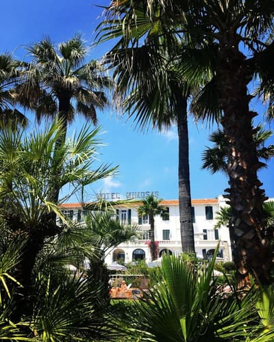Hôtel des Mimosas