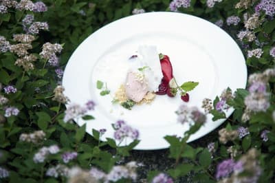 Ringhotel Wassersleben